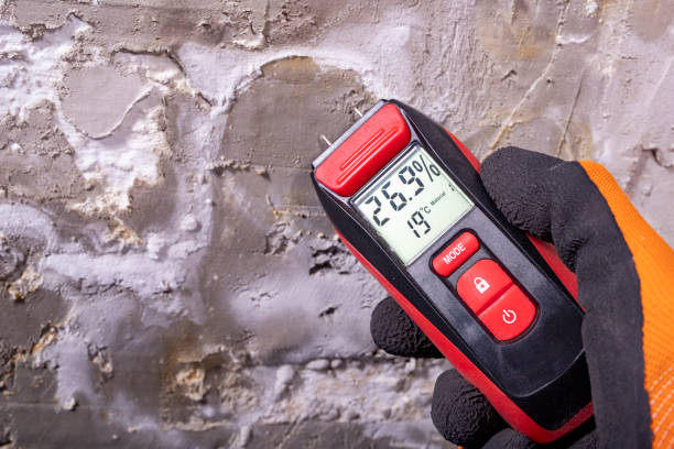 Best HVAC Mold Remediation in Rustburg, VA