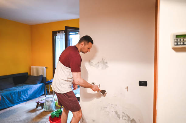 Best Mold Remediation for Specific Building Types in Rustburg, VA
