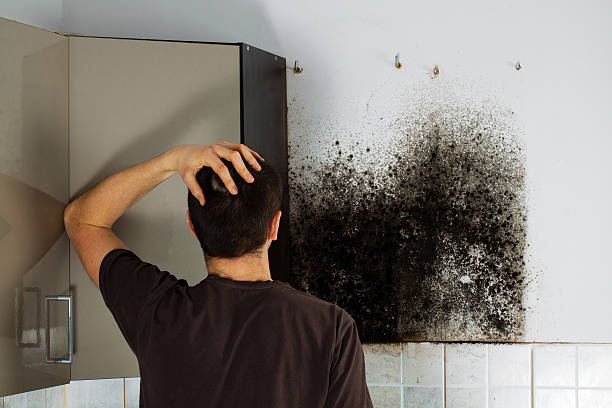 Best Bathroom Mold Remediation in Rustburg, VA